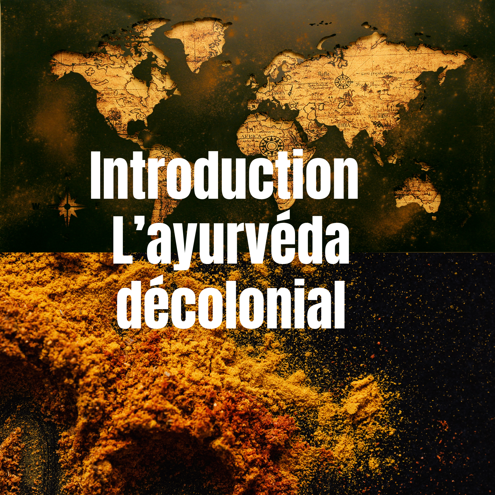 ayurveda décolonial.png
