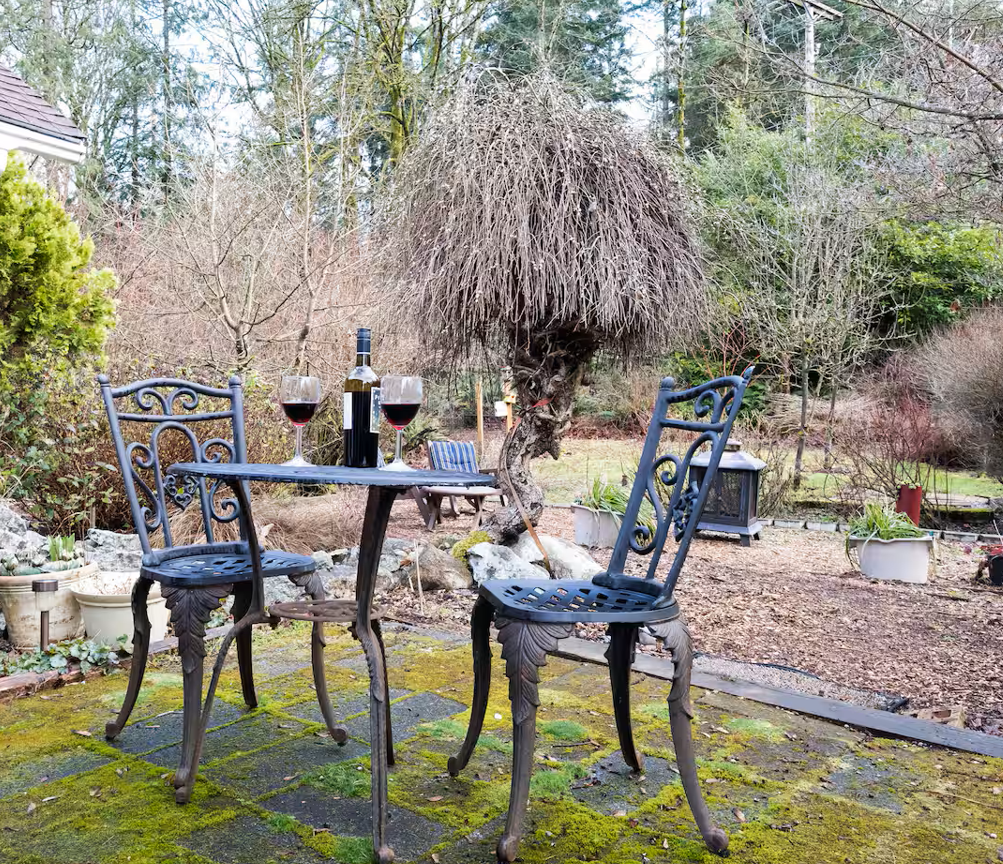 Cabin Backyard.png