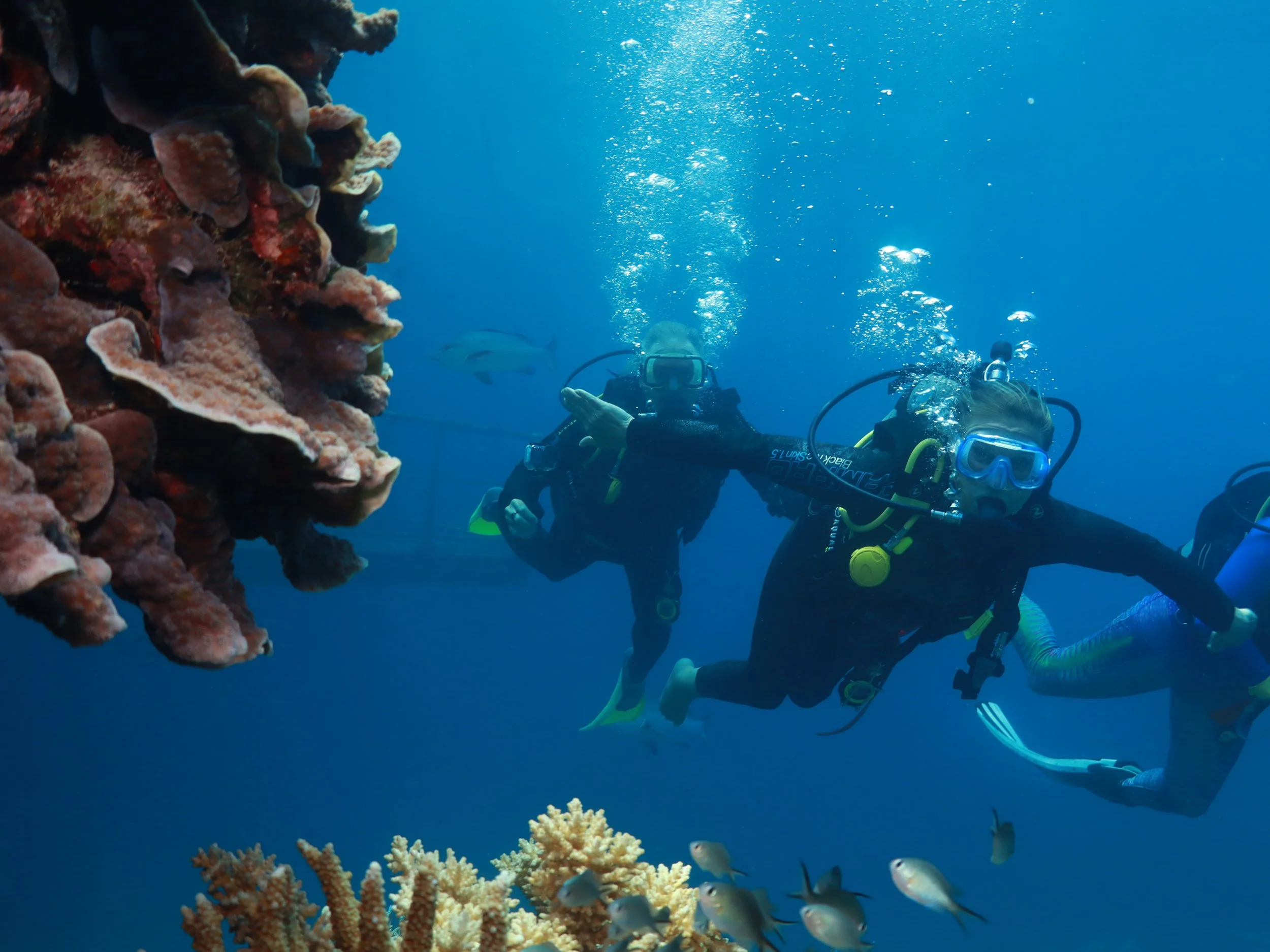 Quantum Goals: The Seed of a Dream