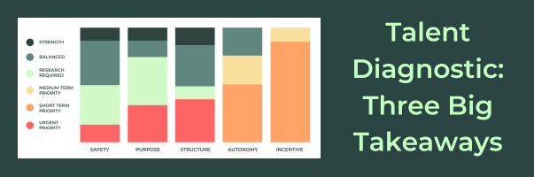 Talent Diagnostic Takeaways and a Brand Refresh