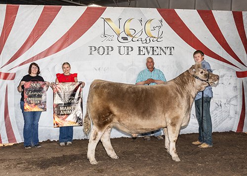  Joshua VanOverbeke  
Reserve Champion 
2026 NCC Pop-Up Show 
Bred by Johnson