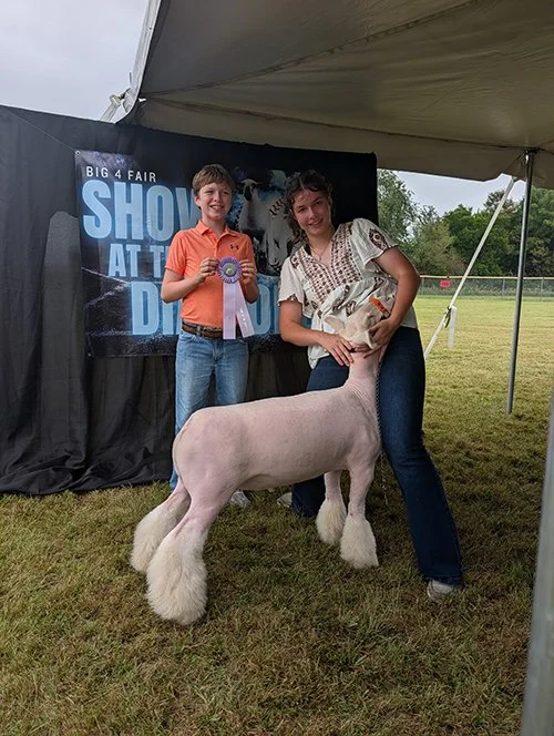  Andrew Dix  
Champion WBI Market Lamb 
2026 Big 4 Fair - Show at the Diamond  
Bred by Dix