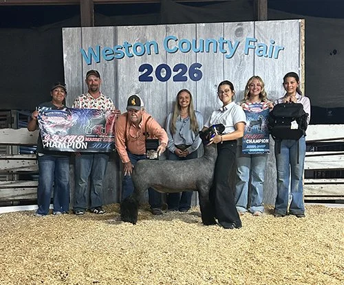  Reagan Redding  
Grand Champion Market Lamb 
2026 Weston County Fair 
Bred by Redding Club Lambs