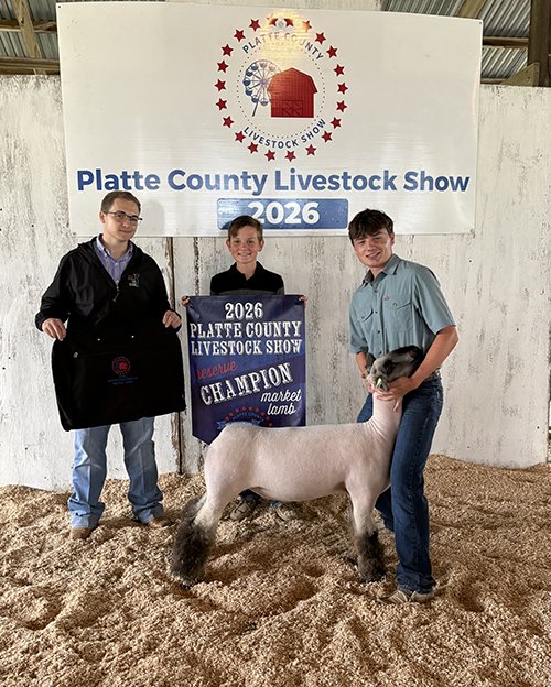  Wilson Lueck  
Reserve Champion Market Lamb 
2026 Platte County Livestock Show 
Bred by LOL