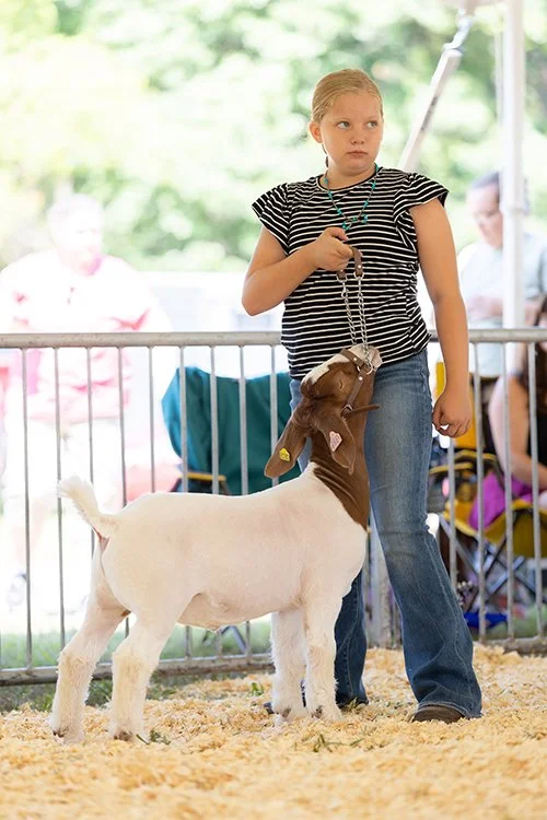  Hadley Erdman  
Grand Champion Market Goat 
2026 Eau Claire County Fair 
Bred by North Star Boer Goats