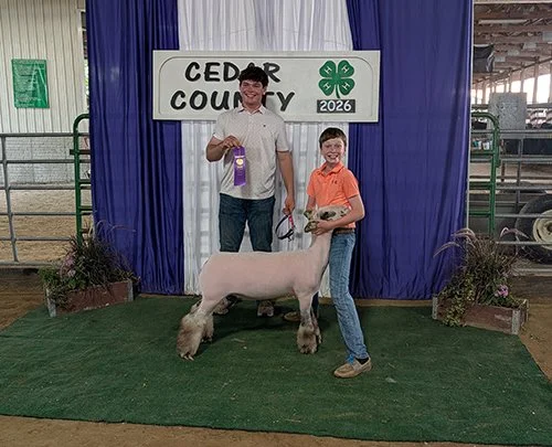  Will Dix  
Champion WBI Commercial Ewe 
2026 Cedar County Fair Open Show 
Bred by Dix