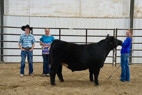  Aubree Kraft  
Grand Champion Market Steer 
2026 Basin Summer Series, Show #3 
Bred by Young's Show Cattle