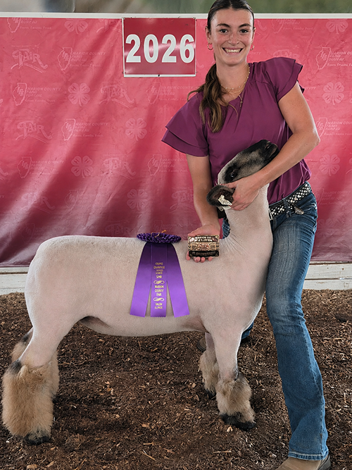  Kinlee Thompson  
Grand Champion Market Lamb 
2026 Marion County Fair 
Bred by Thompson Club Lambs