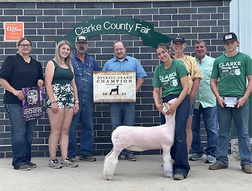   Delanie Erwin  
Grand Champion Market Lamb 
2025 Clarke County Fair - Iowa 
Bred by Rose Davies Show Stock
