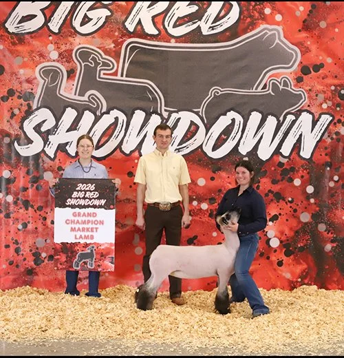  Lexi McCaffree  
Grand Champion Market Lamb 
2026 Big Red Showdown 
Bred by Hassebrook Show Lambs