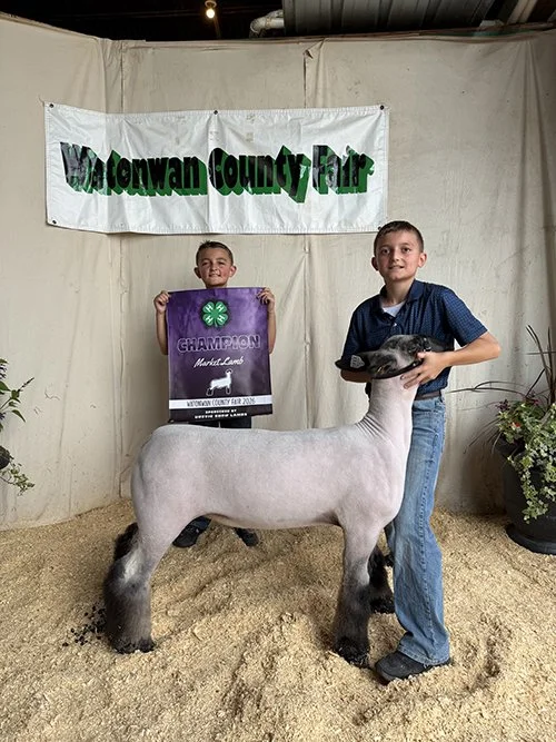   Tucker Urevig  
Grand Champion Market Lamb  
2026 Watonwan County Fair 
Bred by Urevig Show Lambs