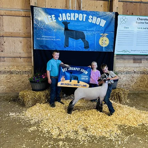 3rd Overall 
2026 Cherokee Open Show 
Bred by Breanna Bosma
