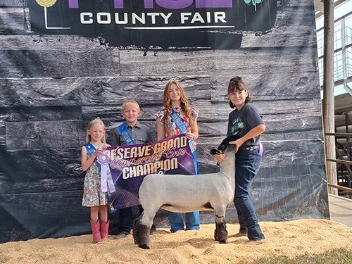   Hailand Hutt  
Reserve Grand Champion Ewe 
2026 Page County Fair 
Bred by Brian David