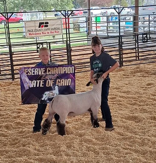   Hailand Hutt  
Reserve Grand Champion Rate of Gain 
2026 Page County Fair 
Bred by Brian Doty