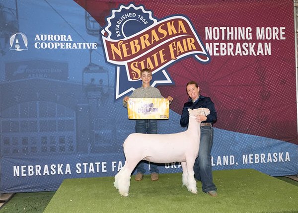  Owen Atwater  
Champion Dorset Ewe 
2025 Nebraska State Fair 
Bred by Nichols Sheep Company