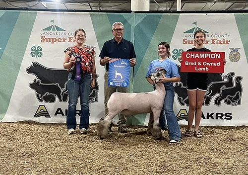  Lexi McCaffree  
Champion Bred and Owned in Lancaster County 
2026 Lancaster County Fair 
Bred by Hassebrook Show Lambs
