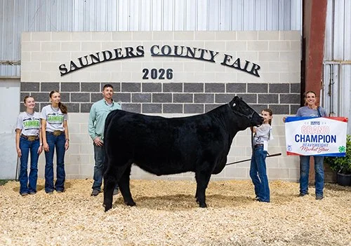  Clare Chromy  
Champion Heavyweight Market Steer 
2026 Saunders County Fair 
Bred by E/W Cattle