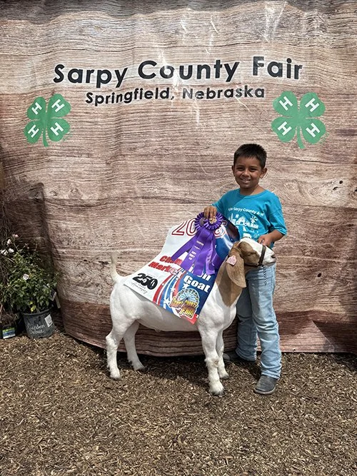   Mateo Salinas  
Grand Champion 
2026 Sarpy County Fair 
Bred by Williams Show Goats