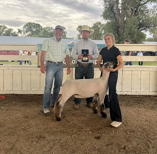  Violet Browning  
Grand Champion Market Lamb 
2026 Southwest Champions of Champions 
Bred by 406 Club Lambs