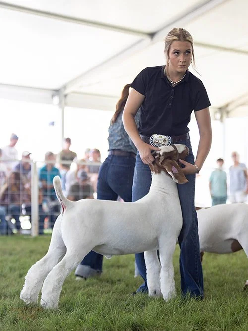  Violet Browning  
Reserve Champion Market Goat 
2026 Southwest Champions of Champions 
Bred by LaCopa Show Goats