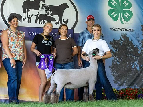  Violet Browning  
Grand Champion Market Lamb 
2026 Park County Ag Fair 
Bred by 406 Club Lambs