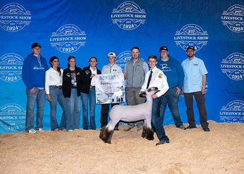  Tyler Eddington  
Supreme Reserve Champion Breeding Ewe 
026 Utah State Junior Livestock Show 
Bred by Long