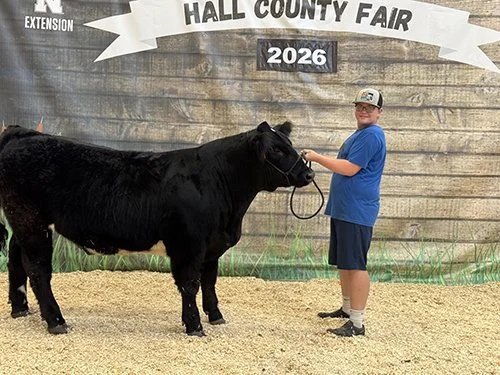  Elijah Esquitin  
Showmanship 
2026 Hall County Fair 
Bred by Wolf Farms