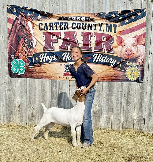  Stella Klaboe  
3rd Overall Market Goat 
2026 Carter County Fair 
Bred by McNally Livestock