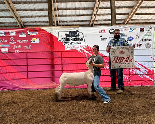  Lexi McCaffree  
Reserve Champion Market Lamb 
2026 Cornhusker Showdown Southeast District 
Bred by Hassebrook Show Lambs