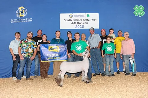  Landon Berg  
4th Overall Wether Dam 
2026 South Dakota State Fair 4-H Show 
Bred by Berg Club Lambs