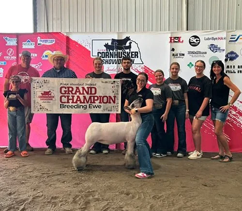  Jaelynn Kliment  
Champion Breeding Ewe 
2026 Cornhusker Showdown River Shootout 
Bred by Ehler Club Lambs