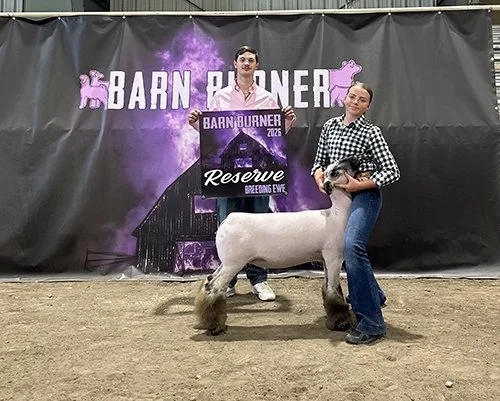  Stevie McQueen  
Reserve Champion Breeding Ewe 
2026 Barn Burner 
Bred by YaYa Club Lambs