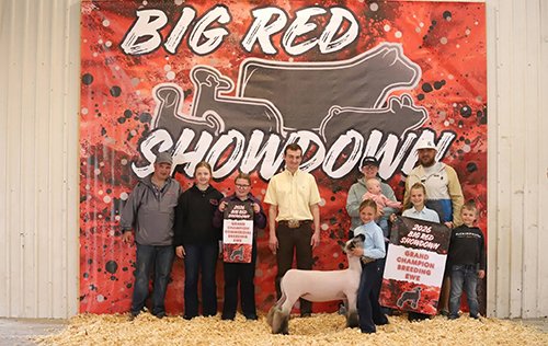  Reese Ehler  
Champion Breeding Ewe 
2026 Big Red Showdown 