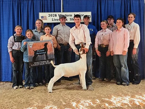  Teagan Scheel  
Champion Market Goat 
2026 Western Junior 
Bred by Scheel Livestock