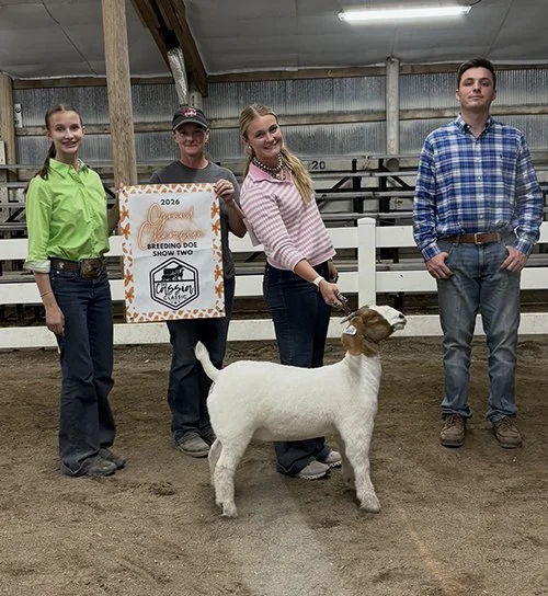  Avery Shewmaker  
Grand Champion Breeding Doe 
2026 Cassia Classic 
