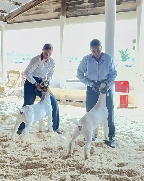  Mia Klaboe  
Reserve Champion Market Goat 
2026 Carter County Fair 
Bred by McNally Livestock