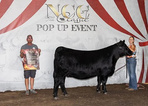  Hailey Petersen  
Reserve Champion 
2026 NCC Pop-Up Show 
Bred by Lay Farms