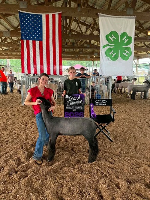  Addisyn Hutchcraft  
Grand Champion Market Animal 
2026 Wayne County 4-H Sheep Show 
Bred by Hutchcraft Show Lambs
