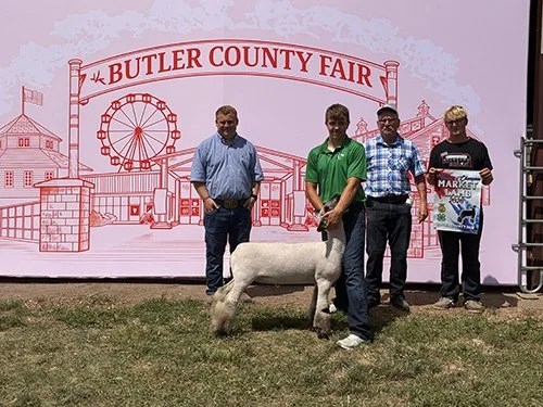   Carter Cech  
Reserve Champion Market Lamb 
Butler County Fair 
Bred by Kershner Club Lambs