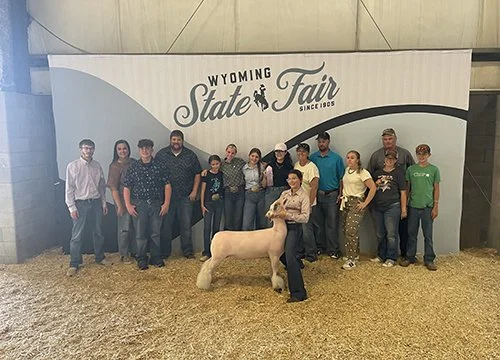  Kinley Redding  
Reserve Overall Speckle Face 
2026 Wyoming State Fair 
Bred by Redding Club Lambs