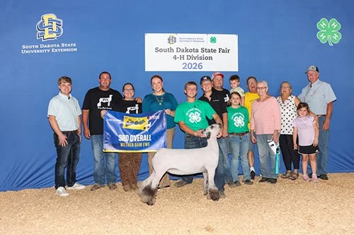  Landon Berg  
3rd Overall Wether Dam 
2026 South Dakota State Fair 4-H Show 
Bred by Berg Club Lambs