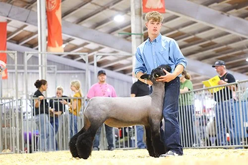  Elliot Ornes  
Reserve Bred & Owned Market Lamb 
2026 Wisconsin State Fair 
Bred by Briar Oak Showstock