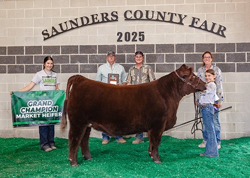  Claire Chromy  
Champion Market Heifer 
2025 Saunders County Fair 