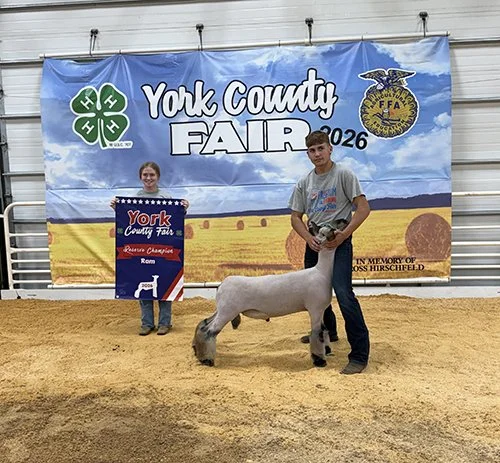  Bridger Johnson  
Reserve Champion Ram 
2026 York County Fair 
Bred by Johnson Livestock