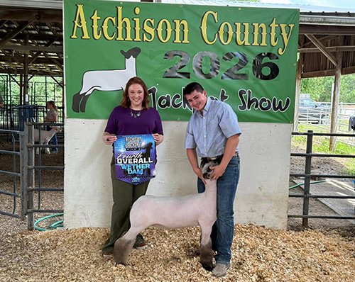  Kyle Rehak  
Reserve Champion Breeding Ewe 
Atchison County Jackpot Show - Ring A 
4th Overall Breeding Ewe 
Atchison County Jackpot Show - Ring B 
Bred by Hassebrook Show Lamb