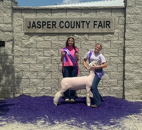  Gretchen Uitermarkt  
Champion Dorset Ewe 
Reserve Purebred Ewe 
2026 Jasper County Fair 
Bred by Clay VanWyk