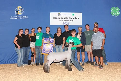  Wyatt Fairley  
Champion Champion Market Wether 
2026 South Dakota State Fair 4-H Show 
Bred by PK Farms