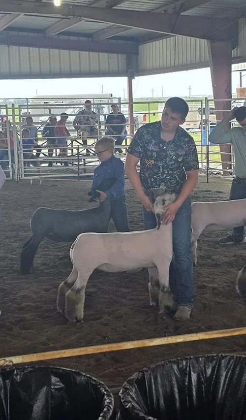   Kyle Rehak  
Grand Champion Market Lamb 
Reserve Breeding Ewe 
2026 June Jam Progress Show 
Bred by Hild Show Stock
