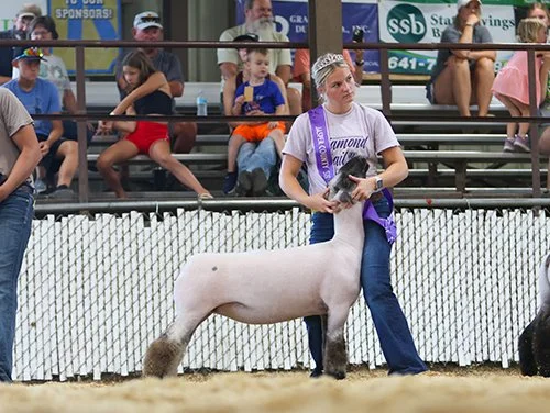   Gretchen Uitermarkt  
Class Winner 
2026 Jasper County Fair 
Bred by Renken Livestock