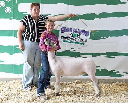  Olivia Reimann  
Champion Breeding Ewe 
2026 Richland County Fair 
Bred by Miller Farms of SD